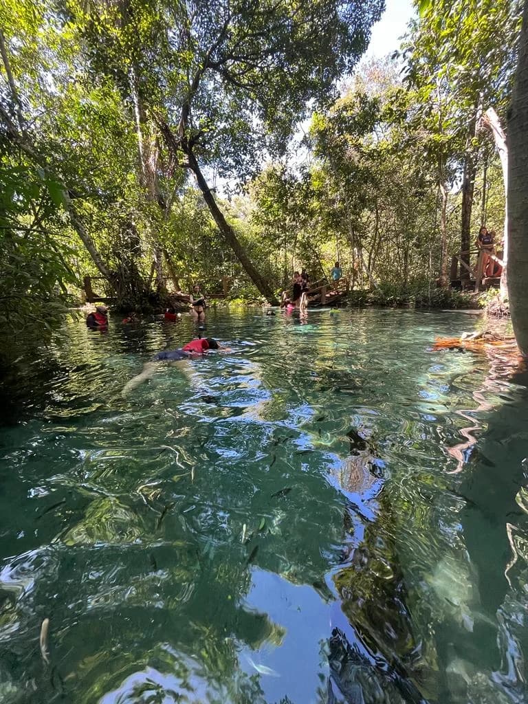 Floating in the crystal waters of Nobres
