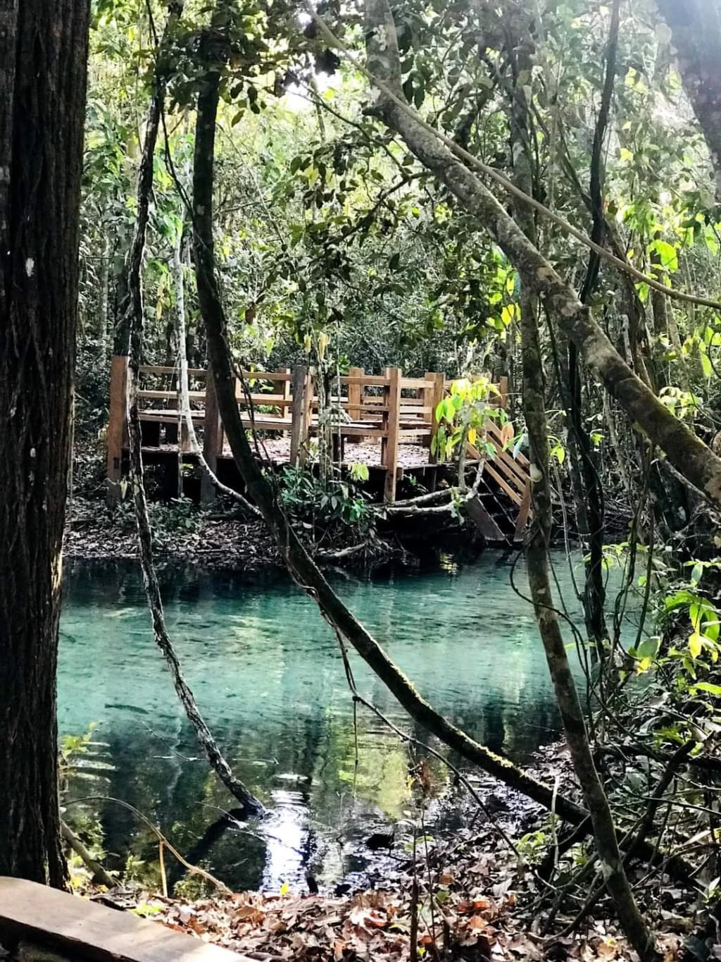 The surreal blue of Aquário Encantado