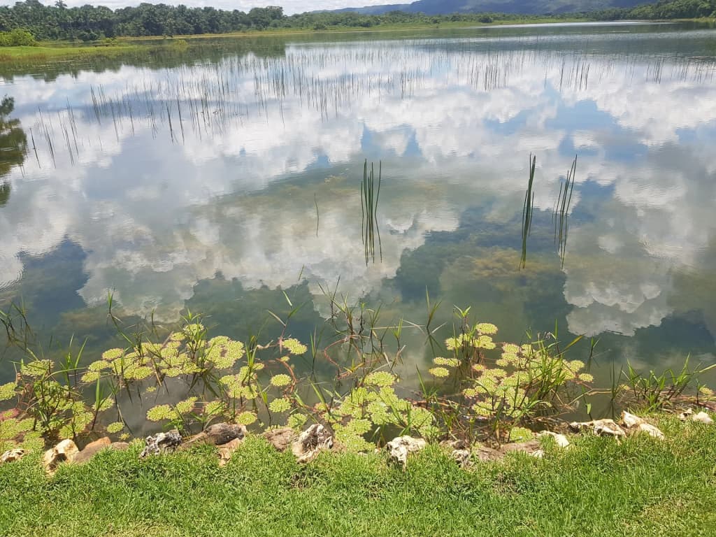 Nobres - Photo by Marcos Modolo