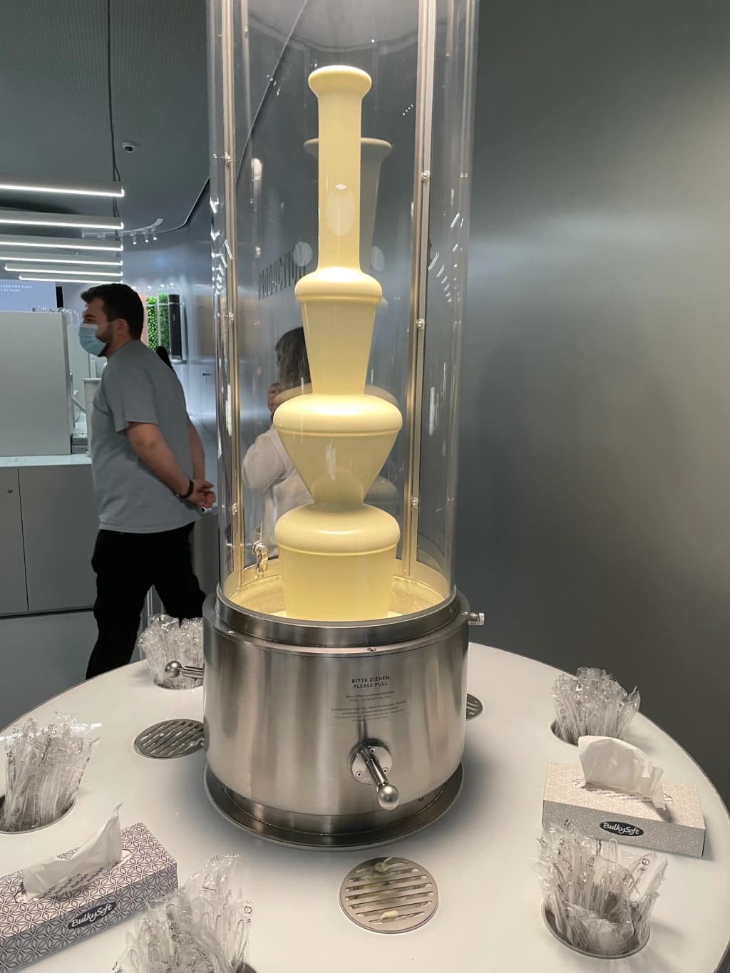 Paseo del lago de Zúrich con la ciudad y los Alpes al fondo