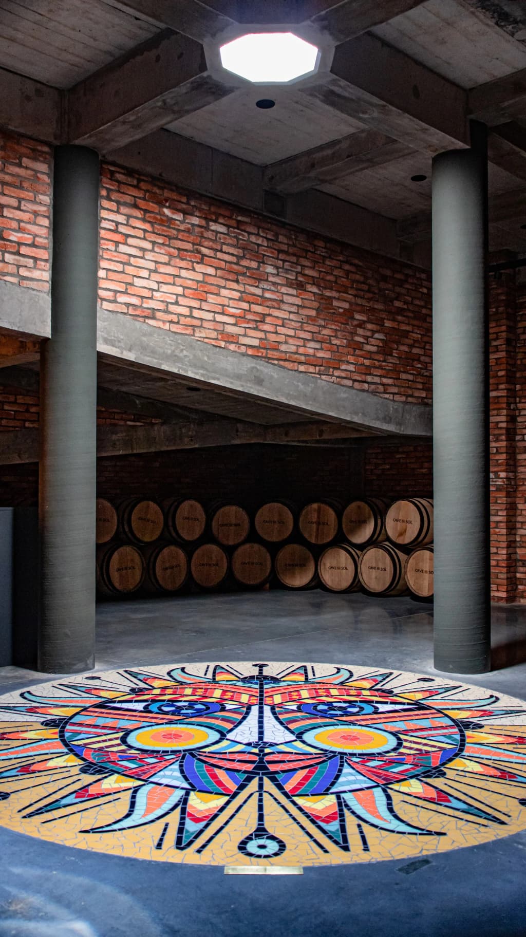 Rows of grapevines at sunset in Bento Gonçalves