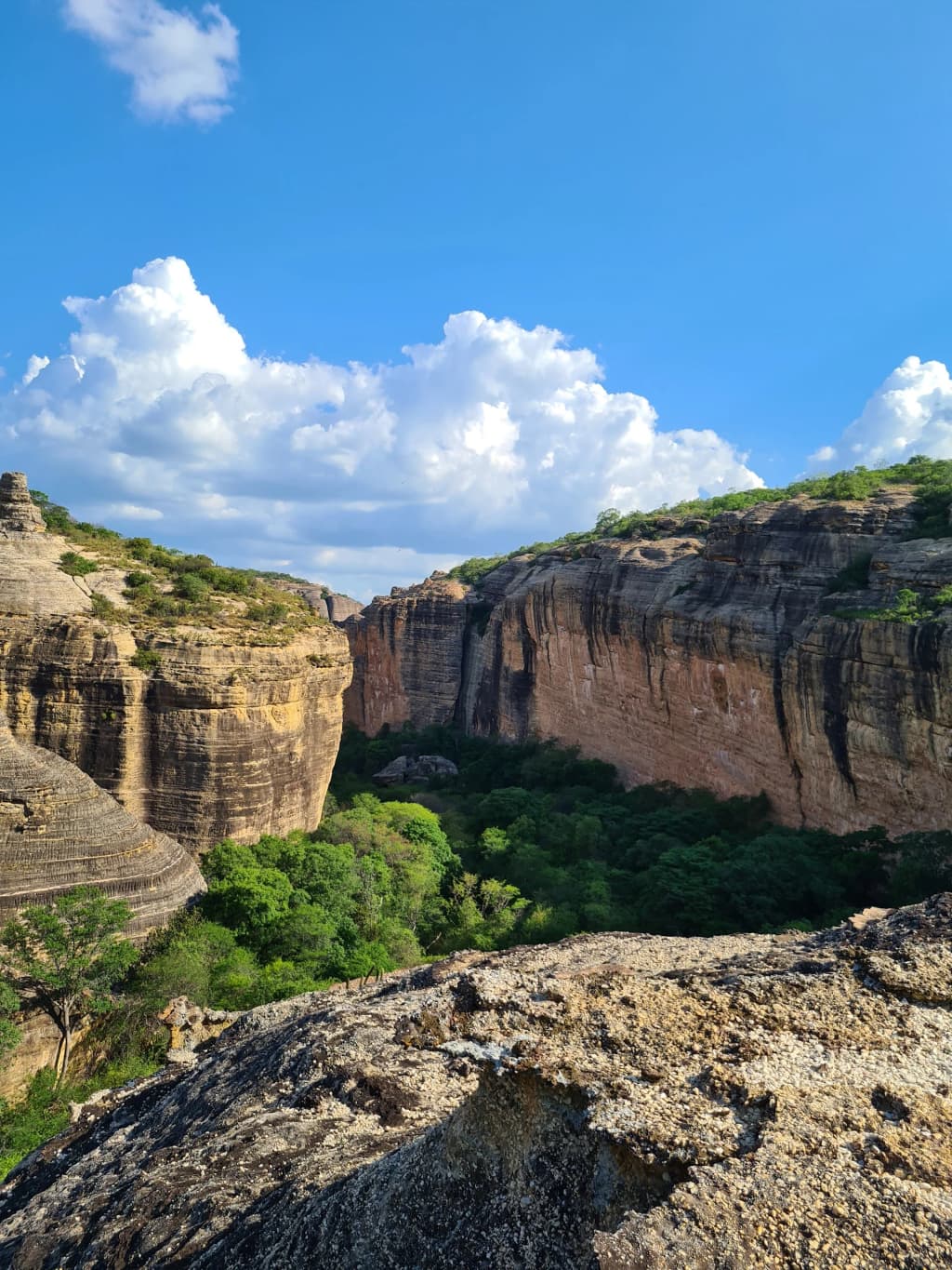 Serra da Capivara National Park - Photo by Joceli Nakamura