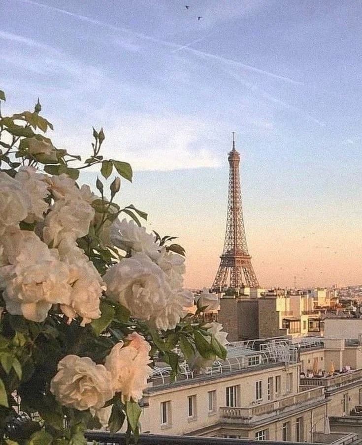 Paris - Photo by Jovana Dukić