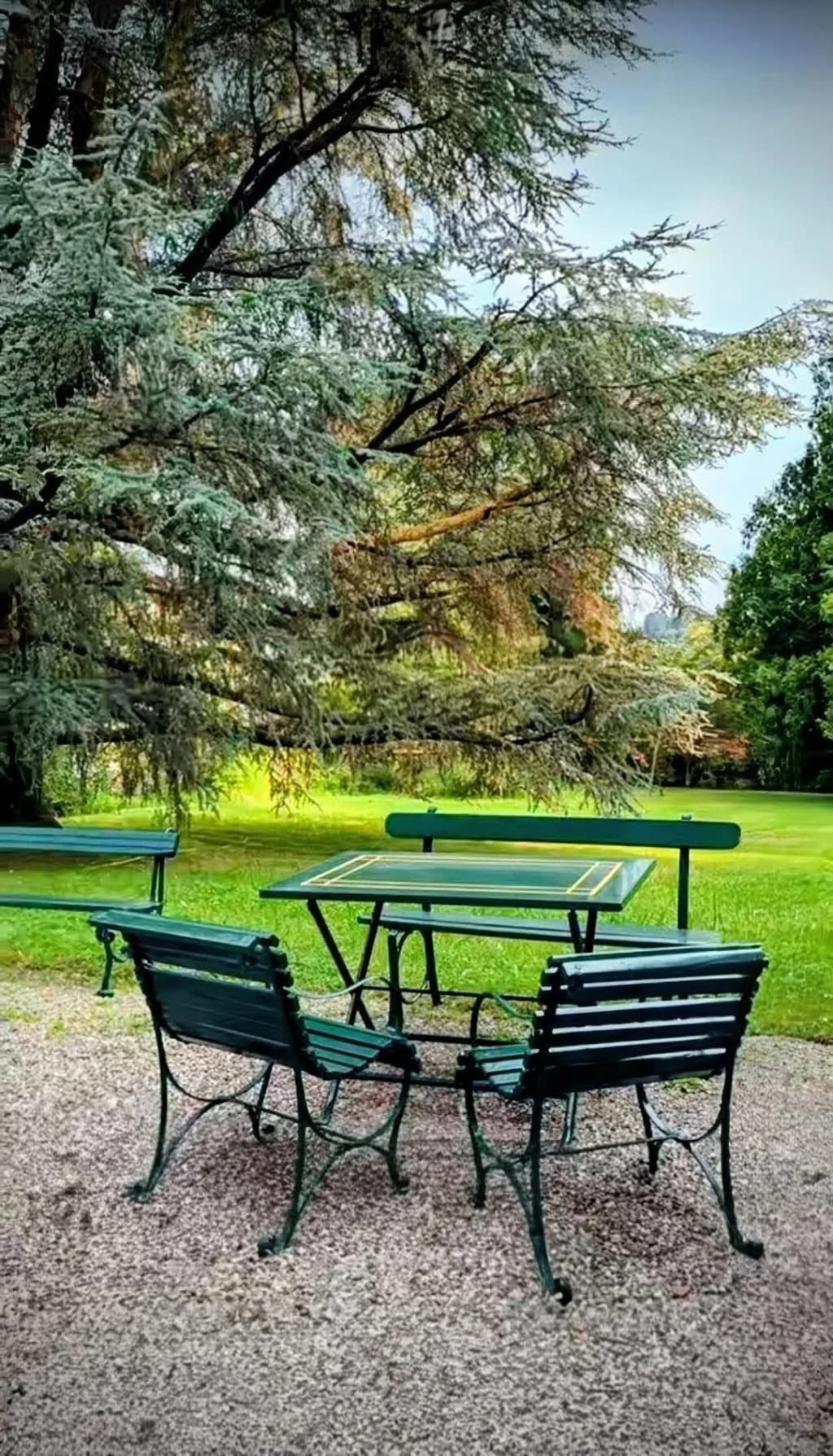 Red rock formations at Garden of the Gods, blue sky