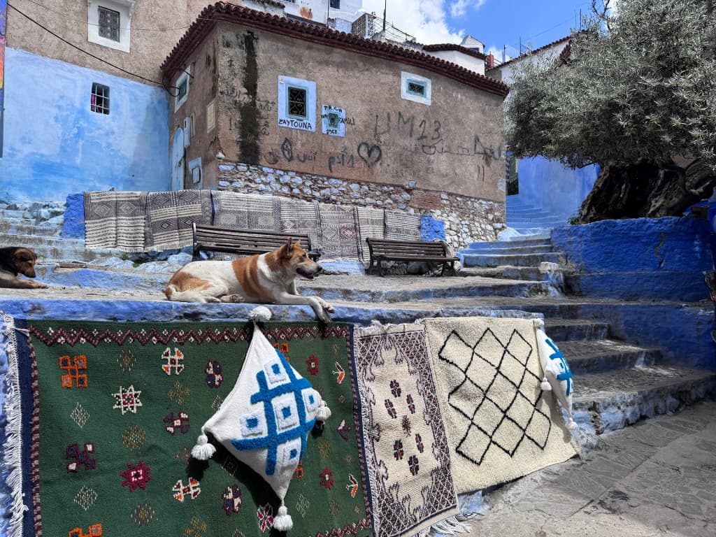 Chefchaouen blue street with murals