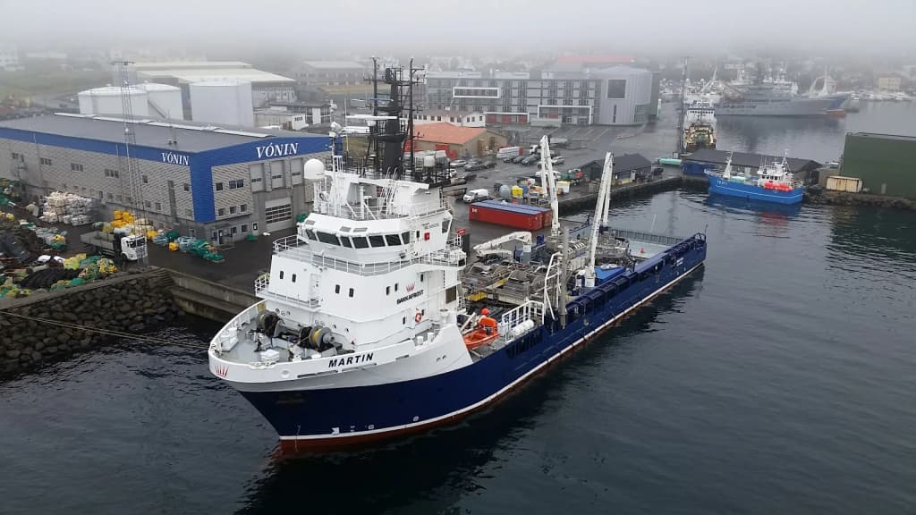Sheep grazing on a windswept hillside, Faroe Islands