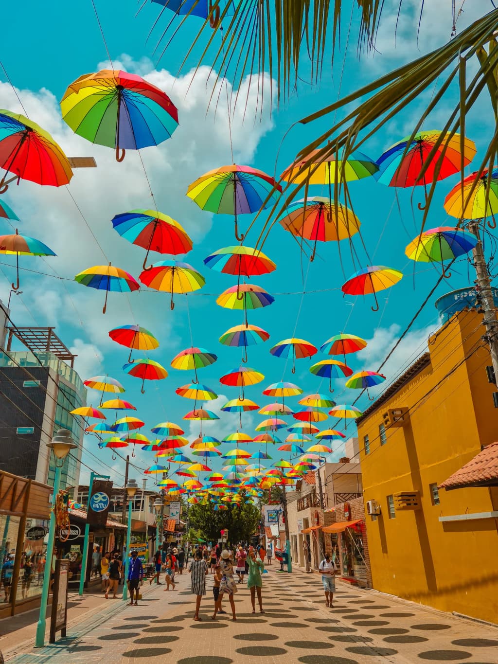 Área da piscina do Vivá Resort com coqueiros e espreguiçadeiras
