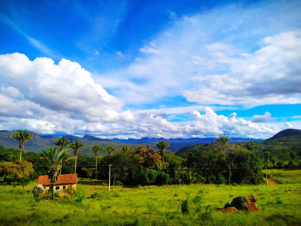 Degustação de queijo de cabra e experiência rural em Piatã