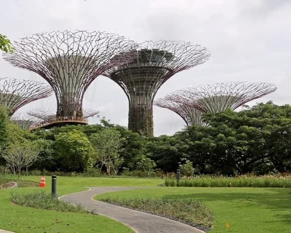 Gardens by the Bay - Photo by IsIs Ykp