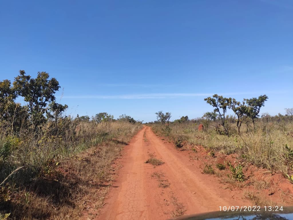 A hidden waterfall plunges into a lush green pool, surrounded by untouched forest