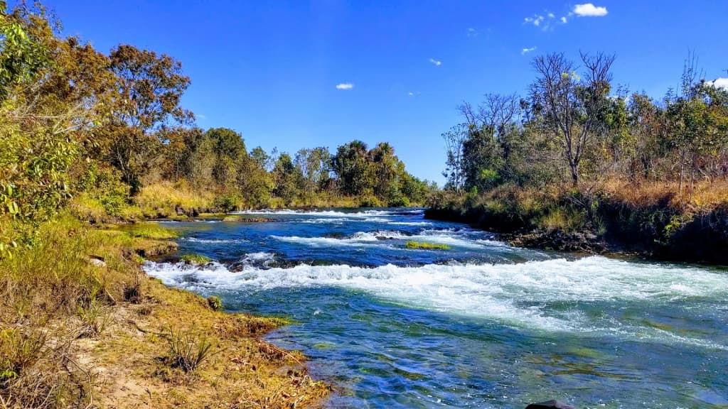 A safari vehicle on a dirt road, surrounded by golden grasslands and distant wildlife