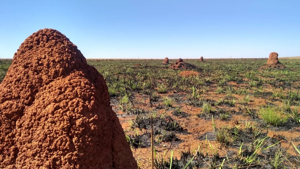 A crystal-clear natural pool surrounded by rocks and green vegetation, perfect for a swim