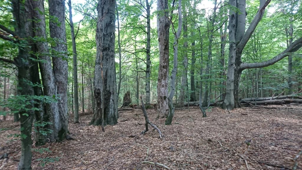 Nuvens de tempestade sobre o pico de Borzhava