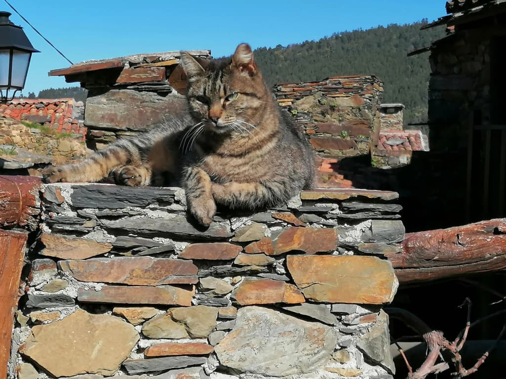 Talasnal com colinas verdes e caminhos de pedra