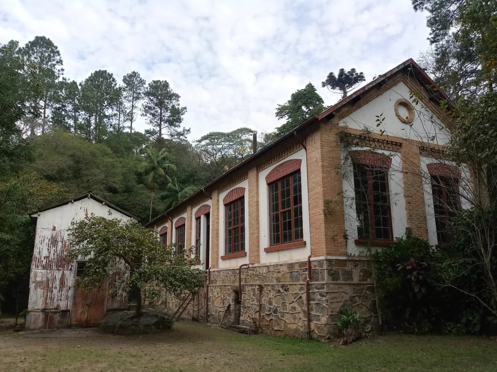 Lush forest trail at Núcleo Engordador, Cantareira State Park