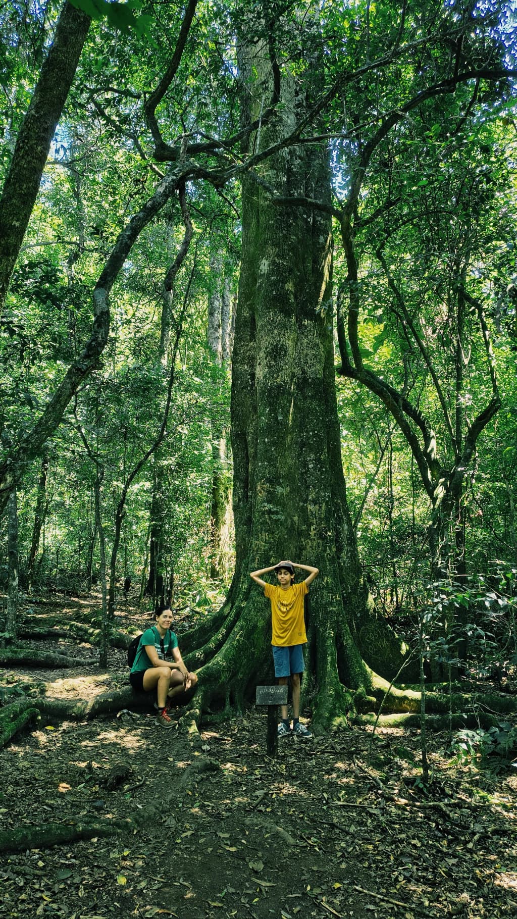 Family picnic area and playground at Núcleo Engordador, Cantareira State Park