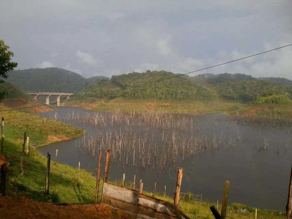 Vista da manhã sobre a Represa de Paraibuna, névoa subindo da água, colinas verdes ao fundo