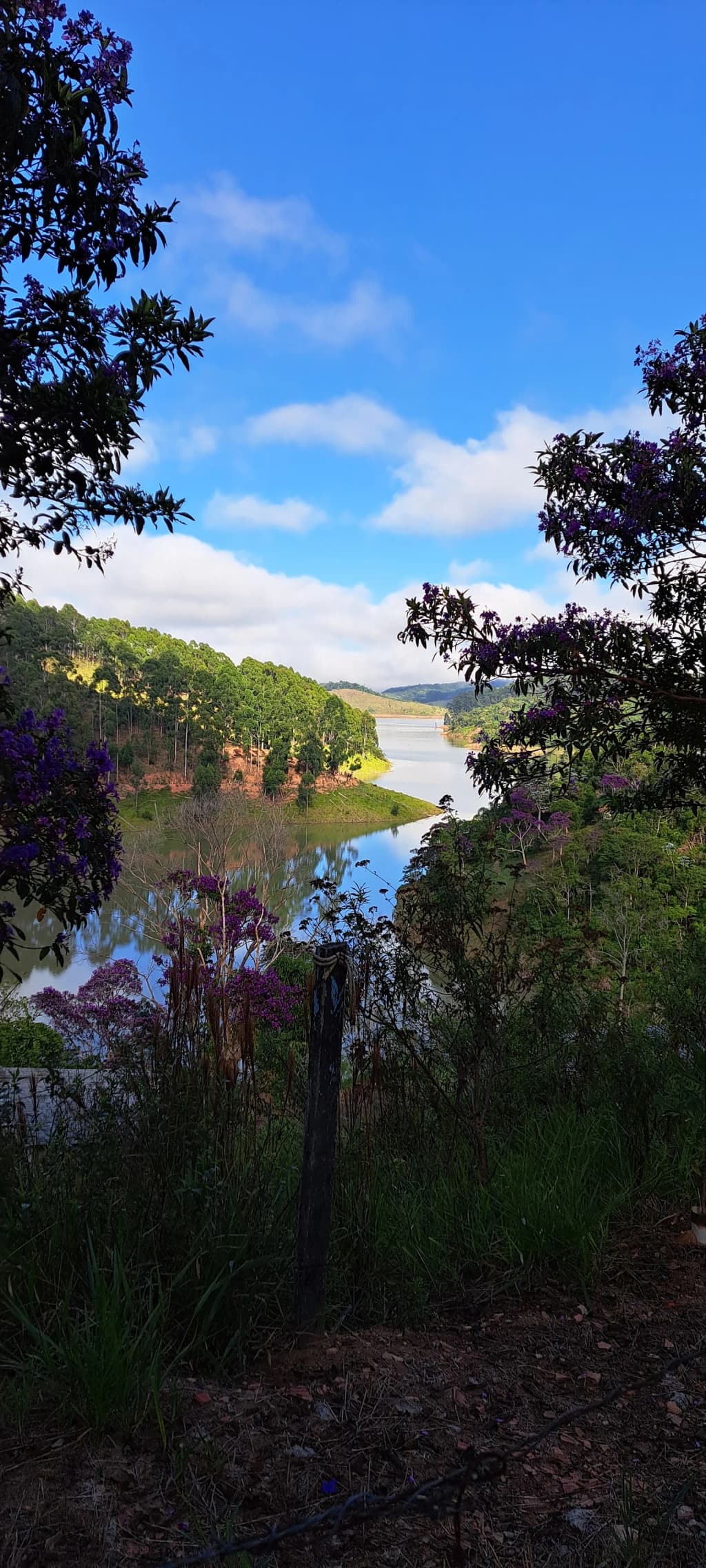 Cachoeira escondida: pequena queda, vegetação densa, poço na base
