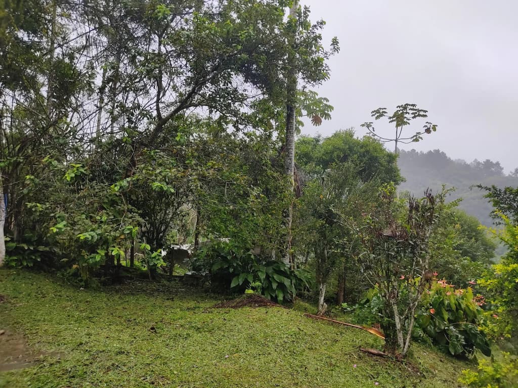 Noite no chalé: fogueira acesa, luzes de fio, lago ao fundo