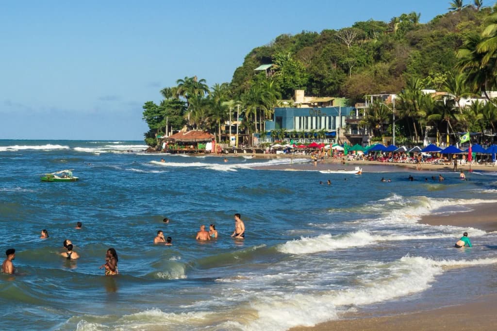 Dolphins and surfers at Praia do Madeiro