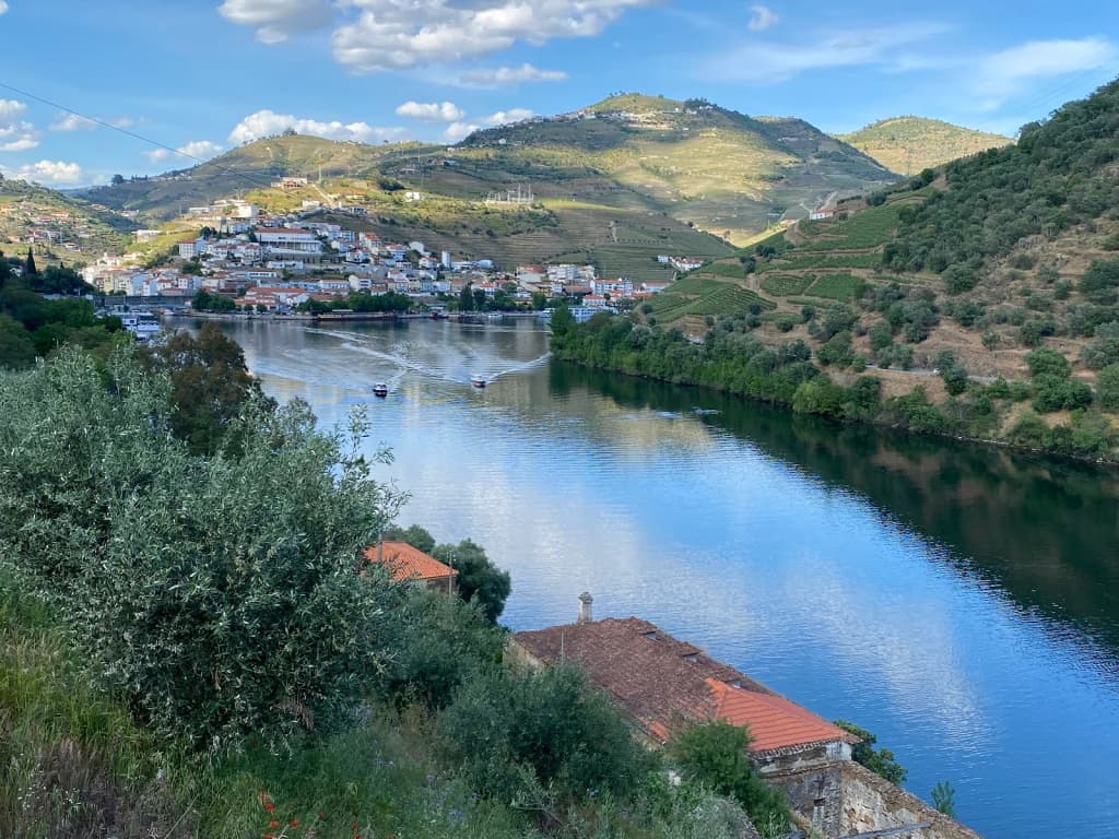 Sala de provas moderna com taças e vista para o Douro