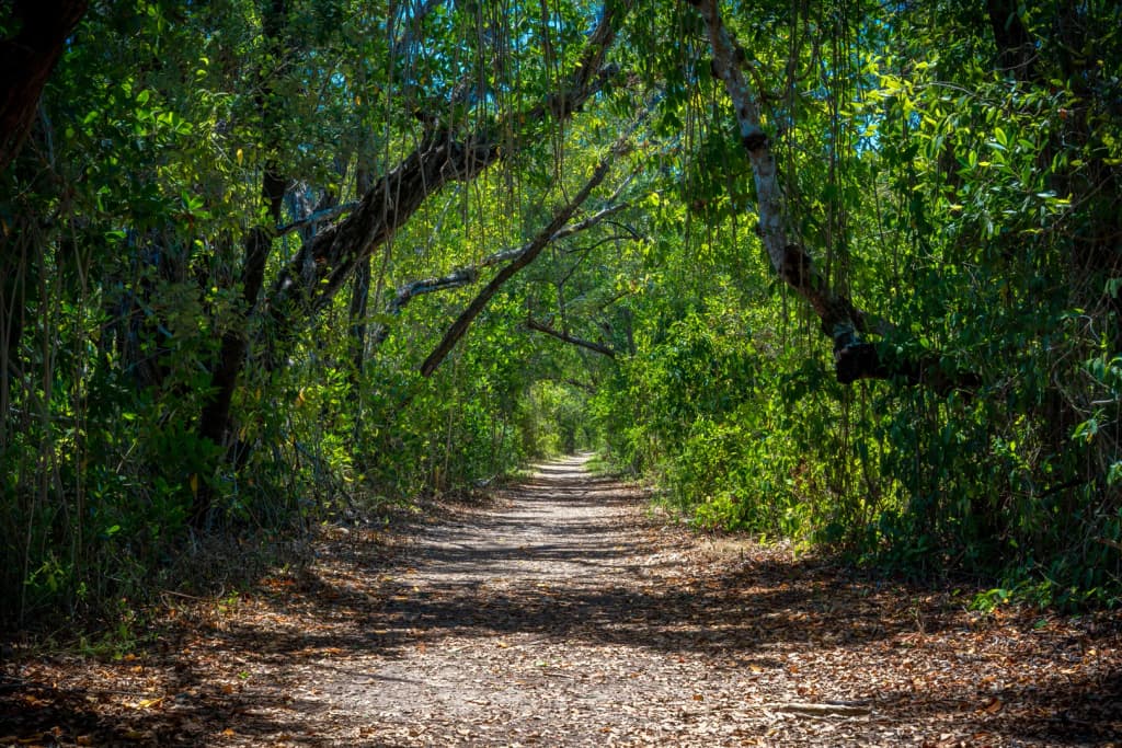 Everglades National Park - Photo by Eric Dunlap
