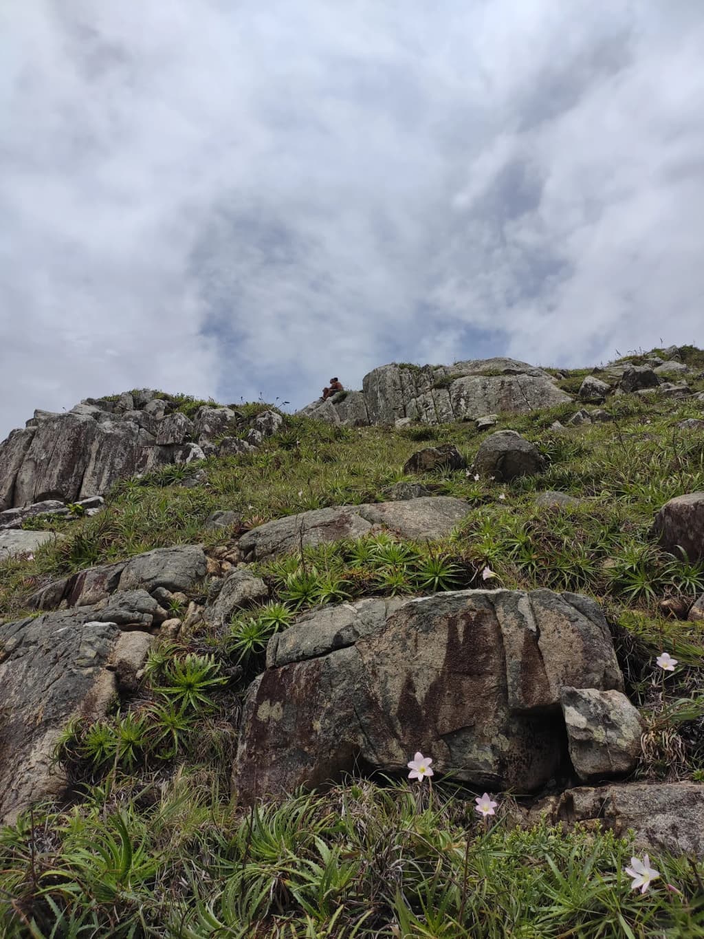 Morro das Aranhas summit, panoramic view of beaches