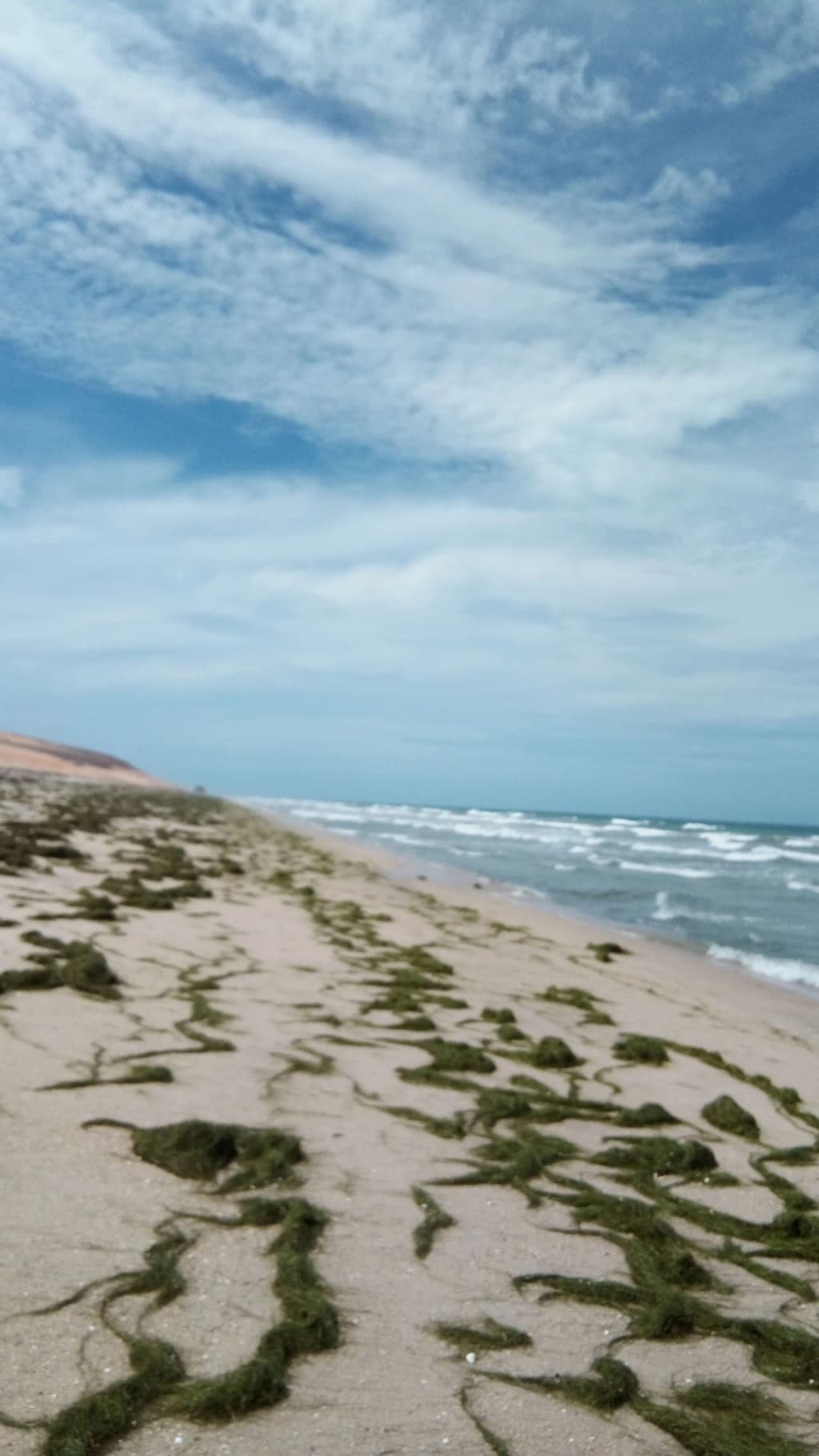 Red cliffs and wild coastline at Ponta Grossa, Ceará