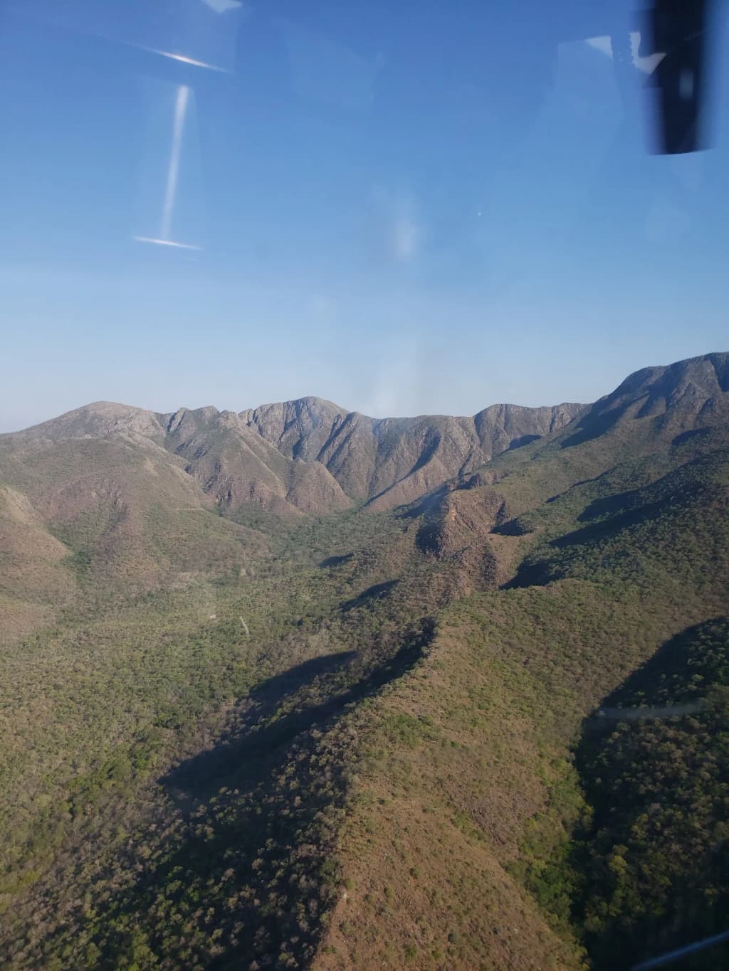 Local artisan weaving traditional crafts from native plants