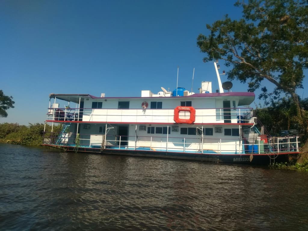 Sunrise over the river, with mist and wildlife in silhouette