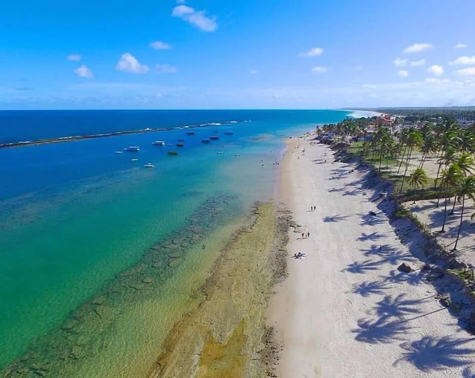Praia do Francês, turquoise water and palm trees