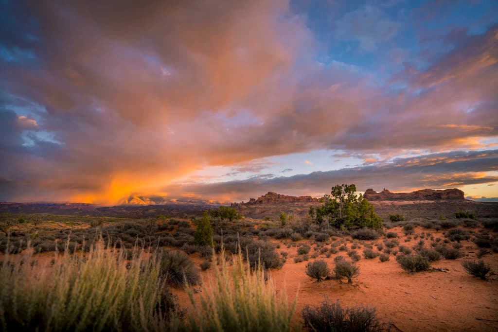 Arches National Park - Photo by Adam Knight