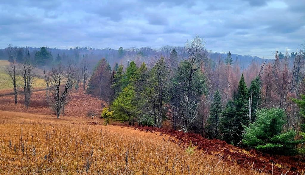 Colorful wooden houses in Bergen, Norway, with mountains